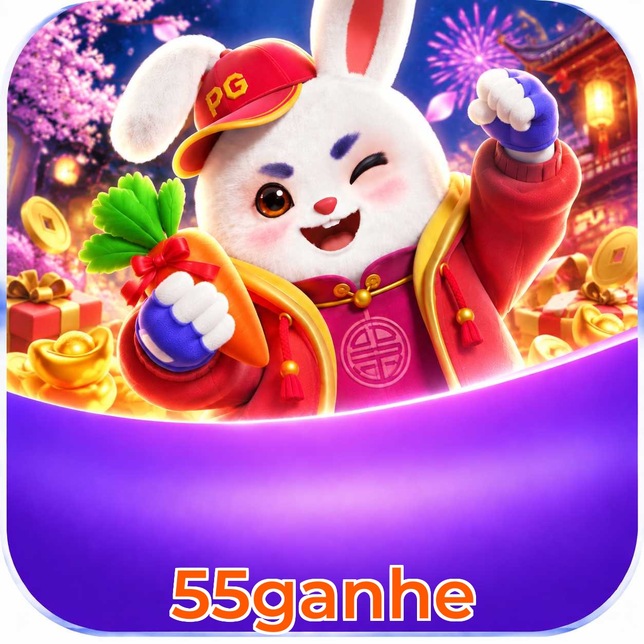 55ganhe System Requirements